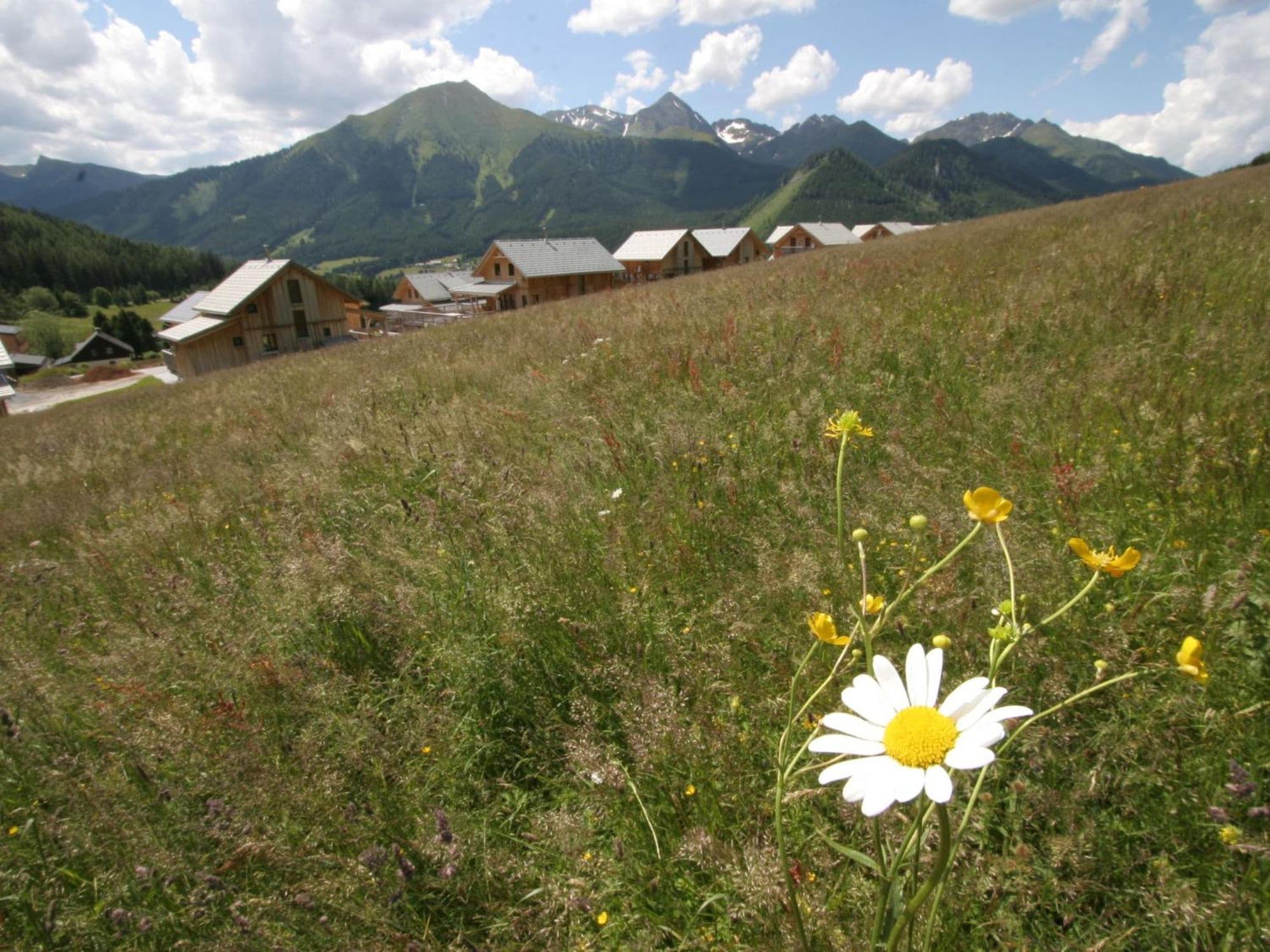 Вілла Nice Chalet In Hohentauern Styria With Sauna Екстер'єр фото